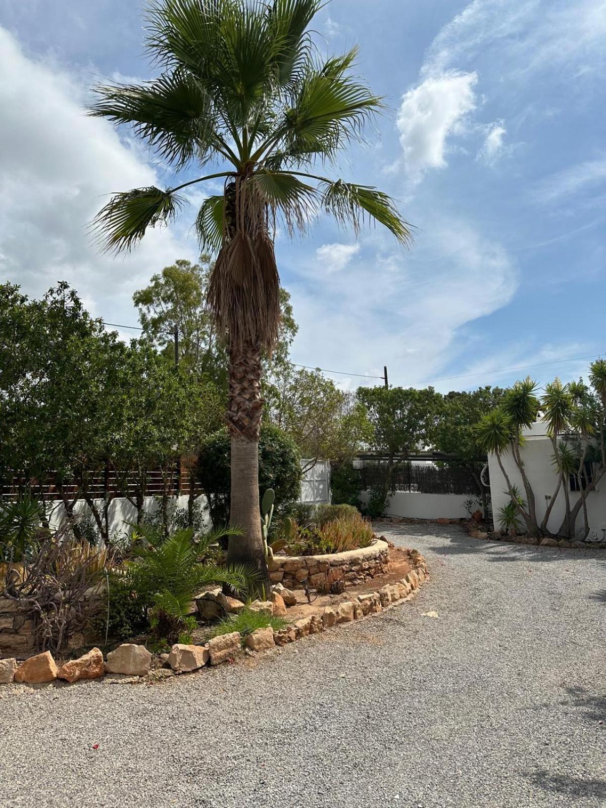 Micasa Ibiza Villa Sant Antoni de Portmany Dış mekan fotoğraf