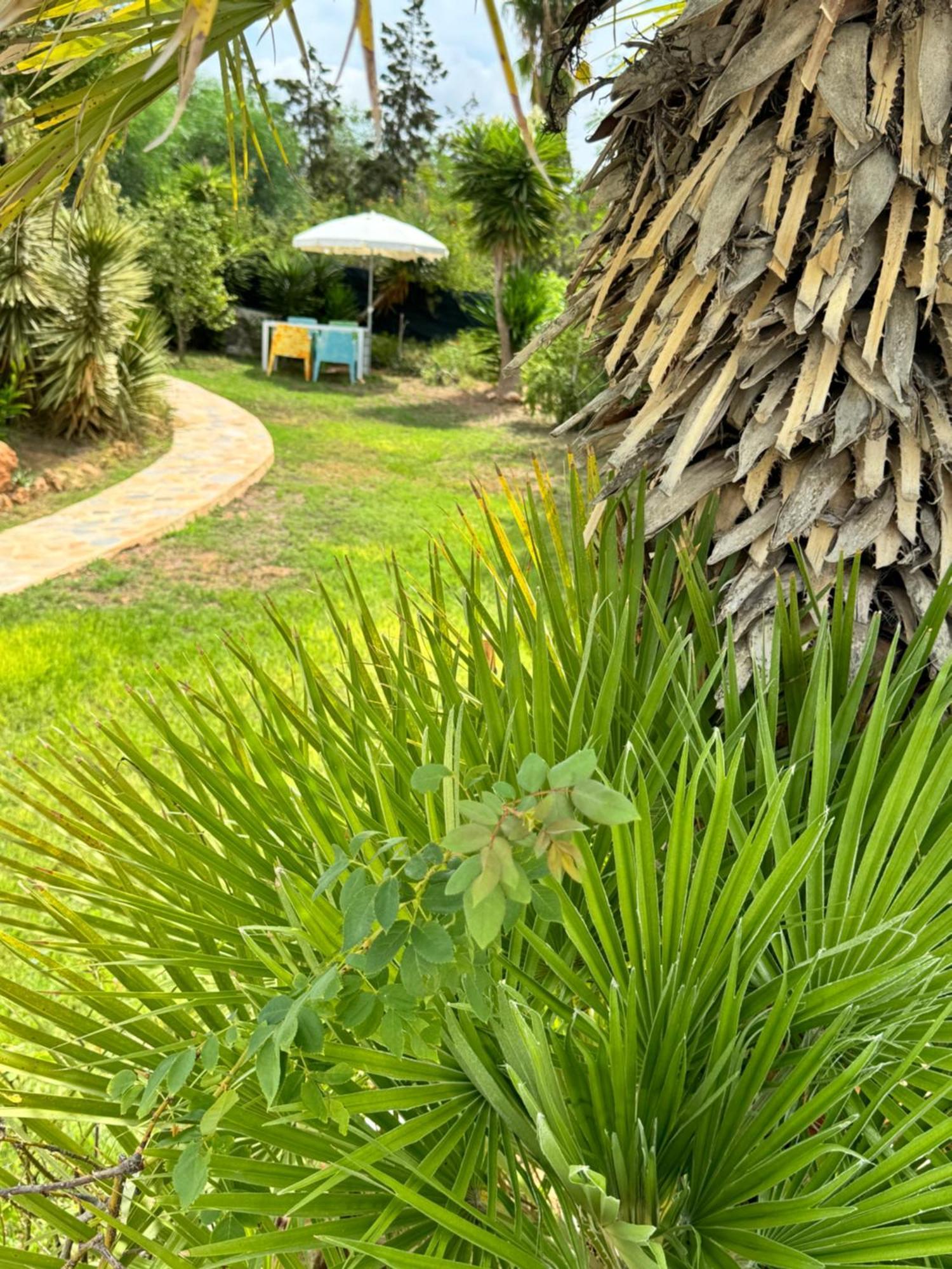 Micasa Ibiza Villa Sant Antoni de Portmany Dış mekan fotoğraf