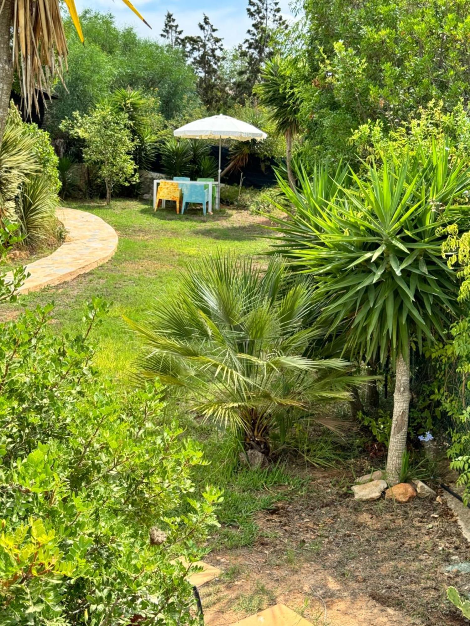 Micasa Ibiza Villa Sant Antoni de Portmany Dış mekan fotoğraf
