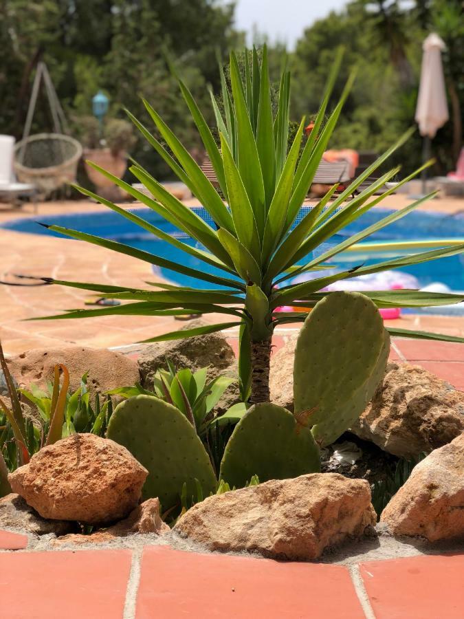Micasa Ibiza Villa Sant Antoni de Portmany Dış mekan fotoğraf